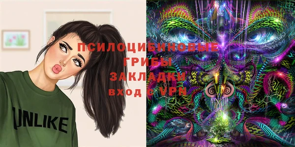 хмурый Кулебаки