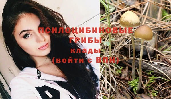 хмурый Кулебаки
